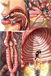  black_hair breasts breasts_doom_nude_wet minigirl nipples nude partially_submerged stomach toyogub vore wading wet x-ray 