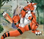  digimon growlmon hyper male narse solo 