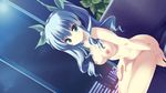  breasts game_cg gray_hair green_eyes hoshi_no_ouji-kun night nipples nude qp:flapper ringo_aoi 