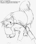  all_fours anthro balls bdsm black_and_white bondage bound canine fox male mammal miles_prower monochrome penis sega sonic_(series) tail unknown_artist wet 