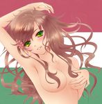  armpits axis_powers_hetalia bad_id bad_pixiv_id blush breasts brown_hair censored convenient_censoring flower green_eyes hair_censor hair_over_breasts hungary_(hetalia) long_hair medium_breasts myg smile solo topless 