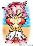  amy_rose beach bikini darkstell-t-hedgehog mobian seaside skimpy solo sonic_(series) 