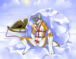  2009 azelyn cum eyes_closed granite_the_wolf harness male masturbation nude outside sled snow solo spread_legs spreading 