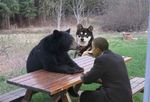  barack_obama bear canine chill dog doggy_cool feral human meeting_without_preconditions photo real what 