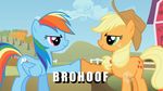  applejack_(mlp) brohoof meme my_little_pony rainbow_dash_(mlp) 