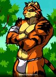  bulge eyes_closed feline fundoshi humbuged male solo tiger underwear 