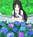  akiyama_mio black_eyes black_hair bug flower hydrangea insect k-on! ladybug long_hair nihility solo squatting 