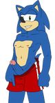  aval0nx sonic_team sonic_the_hedgehog tagme 