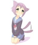  animal_ears bad_id bad_pixiv_id cardigan cat_ears grey_hair kemonomimi_mode kita_high_school_uniform nagato_yuki school_uniform serafuku short_hair solo suzumiya_haruhi_no_yuuutsu tail tail_wagging yellow_eyes yukigumo 