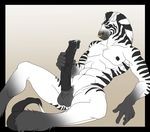  equine holly_marie_ogburn horsecock male masturbation penis solo zebra zeeb 