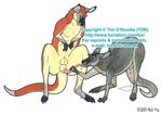  annoying_watermark fellatio female feral kangaroo male marsupial oral oral_sex penis randy_muledeer sex straight 