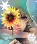  axis_powers_hetalia blonde_hair flower male_focus purple_eyes russia_(hetalia) snowflakes solo sunflower warino 