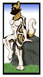  breasts canine female nude solo zeddish 