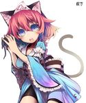  animal_ears bad_id bad_pixiv_id bike_shorts blue_eyes blush cat_ears cat_tail goose_h highres kemonomimi_mode mouse pink_hair purple_eyes saigyouji_yuyuko short_hair solo tail touhou triangular_headpiece 