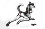  2008 anus breasts canine dog female harness husky nude presenting pussy raised_tail rukis solo tail 