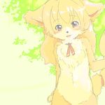 canine chest_tuft cub female fox fuyuno hair looking_at_viewer red_eyes solo standing tail tail_band yellow 