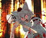  animal_ears blood detached_sleeves fang hat heikouidou_(seraeno) inubashiri_momiji multiple_girls punching red_eyes shameimaru_aya short_hair tail tokin_hat touhou violence white_hair wolf_ears wolf_tail 