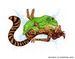  amphibian animal anthro_bestiality banrai breast_grab female frog interspecies korrok missionary_position ocelot sex zoo 