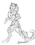  feline goldenwolf male nude piercing semi-anthro snow_leopard solo 