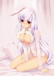  animal_ears bad_id bad_pixiv_id bed breasts bunny_ears cleavage large_breasts lavender_hair legs long_hair no_pants open_clothes open_shirt panties red_eyes reisen_udongein_inaba shirt sitting solo striped striped_panties tooya_(tsuyukusa) touhou underwear very_long_hair 