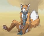  fox hindpaw keihound male mammal outside paws sage scarf sitting solo tree warm_colors wood 