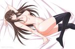  aki_sora aoi_aki breasts brown_eyes brown_hair highres kuroda_kazuya large_breasts long_hair nipples nude solo thighhighs 