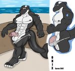  aaron balls big_balls blue_eyes cetacean erection fins grin male marine muscles nude onix_(aaron) orca penis presenting seaside sheath skimpy solo standing sunglasses swimsuit tail tattoo 