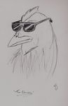  avian bird black_and_white chicken deal_with_it eyewear glasses monochrome sketch sunglasses unknown_artist 