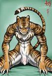  feline male nai-chan nude solo tiger 