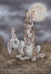  collaboration couple dark_natasha feral lagomorph michele_light moon rabbit stitches zombie 