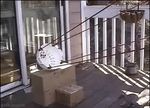 animal_abuse animated catapult epic gif omg owned rodent squirrel squirrelpult trap 