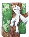  avian bethany_sellers blue_eyes brown claws feathers female nude owl relaxing solo tree white 