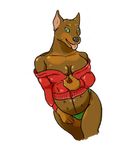  brown brown_fur canine cataractorange doberman dog female fur green_eyes jumper looking_at_viewer mammal panties plain_background pregnancy pregnant solo teasing underwear white_background 