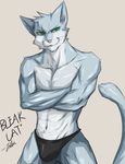  anthro biceps blue_fur bulge cat crossed_arms feline fur green_eyes kiba-wolf male mammal muscles pecs pose solo speedo standing swimsuit thong topless whiskers white_fur yellow_eyes 