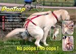 canine censored dog feral magic poo real scat science technology what 