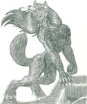  canine hellgoddess male nude solo wolf 