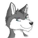  blue_eyes canine male portrait solo wolf 