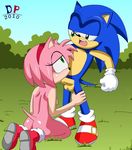  amy_rose dp sonic_team sonic_the_hedgehog tagme 