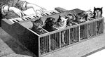  animated cage cat cat_piano feline gif human katzenklavier music piano what 