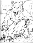  canine crush ken_sample macro male solo wolf 