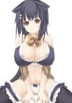  animal_ears arutoria black_legwear blue_hair blush breasts brown_eyes cleavage large_breasts original panties short_hair sitting solo thighhighs underwear white_panties 