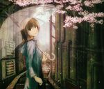  bad_id bad_pixiv_id brown_eyes brown_hair cherry_blossoms looking_back original petals rain short_hair solo stairs transparent transparent_umbrella umbrella yoshidaworks 