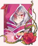  blood colored_eyelashes ehlly evil_smile eyelashes face flower hood incarose_(tales) plant red_eyes red_flower red_rose rose smile solo tales_of_(series) tales_of_hearts vines 