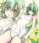  bapio breasts cameltoe green_hair ichiban_ushiro_no_daimaou korone middle_finger nipples pussy see-through see_through 