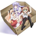  angry blonde blue_eyes box brown_hair fang girl_in_a_box green_eyes group hair_ribbon kiriya_nozomi knee_socks long_hair mayoi_neko_overrun! nekomimi purple_hair red_eyes ribbon serizawa_fumino skirt thighhighs umenomori_chise 