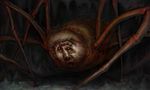 arachnid arthropod atlach_nacha clark_ashton_smith cthulhu_mythos h.p._lovecraft nightmare_fuel spider what 