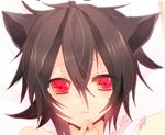  (21)suke 1boy animal_ears cat_ears catboy gay gradient gradient_background male male_focus red_eyes solo source_request white_background yaoi 