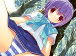  cg eroge game_cg haduki_sakura pastel siesta_(eroge_studio) tagme 