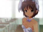  animal_ears bow brown_eyes brown_hair bunnysuit classroom kemonomimi nagato_yuki rabbit_ears suzumiya_haruhi_no_yuuutsu usamimi 