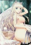  :o blonde breasts fox_tail garter green_eyes kemonomimi kitsunemimi knife large_breasts long_hair looking_back nipples nude open_mouth oppai oshiri shining_hearts solo tail yoshimura_kentaro yoshimura_kentarou 